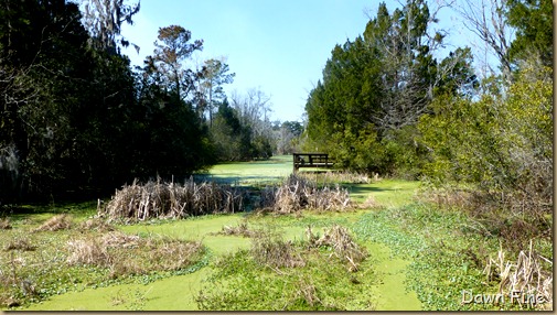 Magnolia Plantation_285