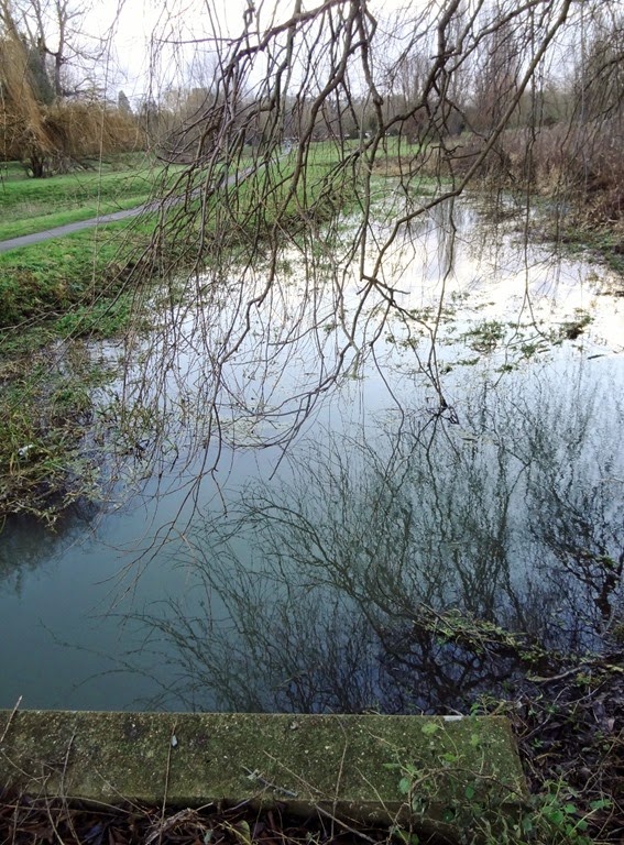 [DSC00959%2520%2528959x1300%2529%255B3%255D.jpg]