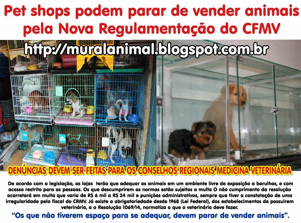 [petshops_venda_animais%255B3%255D.jpg]