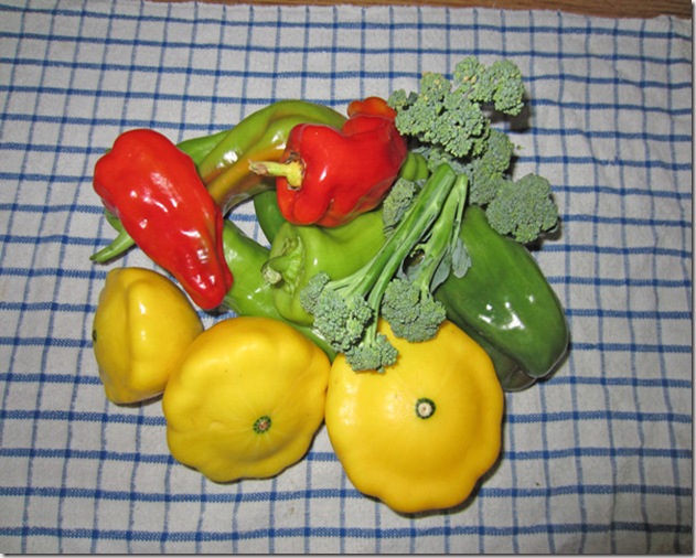 Sunburst squash, peppers and broccoli