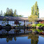 Jardin japonais