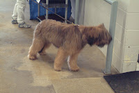 DSCF3146.JPG
