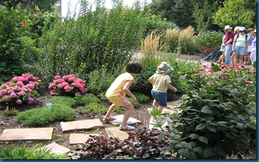 img_2431 img_2431