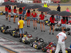 p1310032979(13).jpg