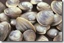 clams