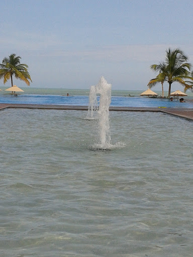 Fountains at Uga