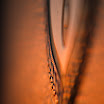 IMG_9792-1.jpg