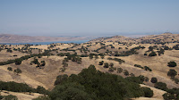 DSC02998.jpg