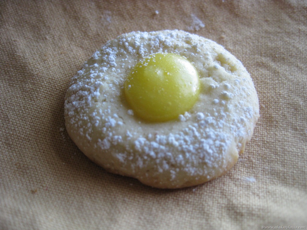 [lemon%2520thumbprint%2520cookie%255B7%255D.jpg]
