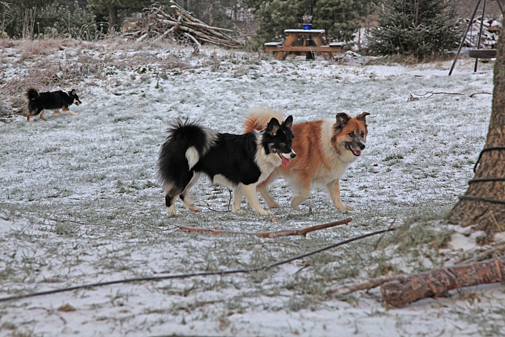 [08des2011_julebilder_5455%255B4%255D.jpg]