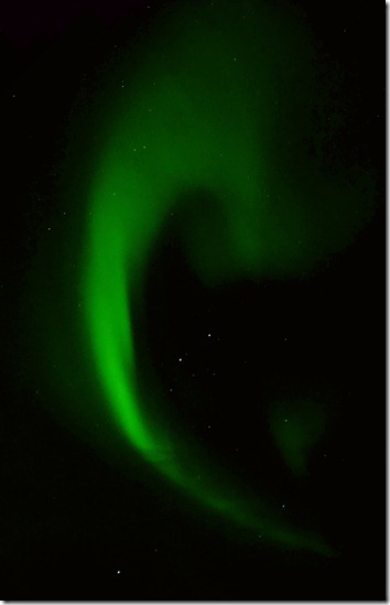 DSC_3673_副本 DSC_3673_副本