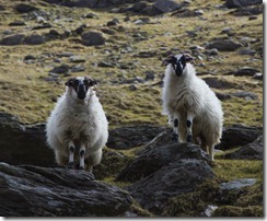 09.Healy Pass