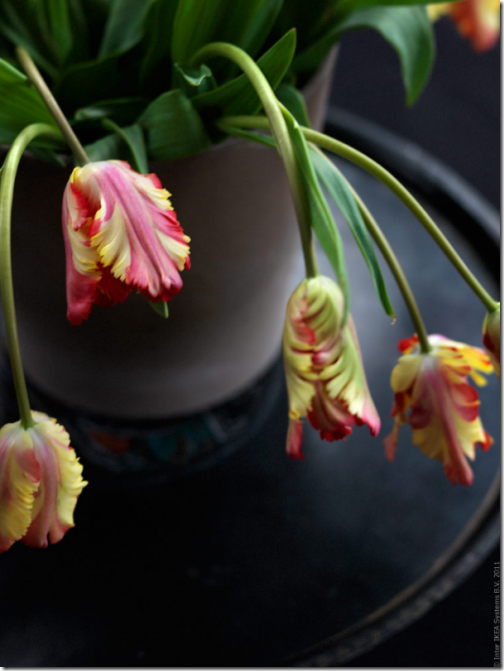 ikea_floral_arrangement_idea