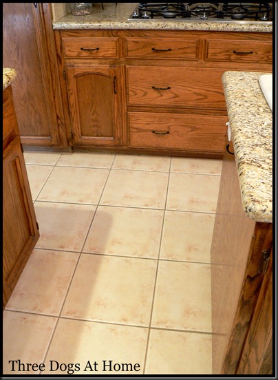 How I Made My Kitchen Floor Look Brand New Three Dogs At Home Not Only Is It An Eye Sore But Holding Me Back From Making Some Fun Changes In The Kitchen Because I Didn T Want To Have Redo Work After