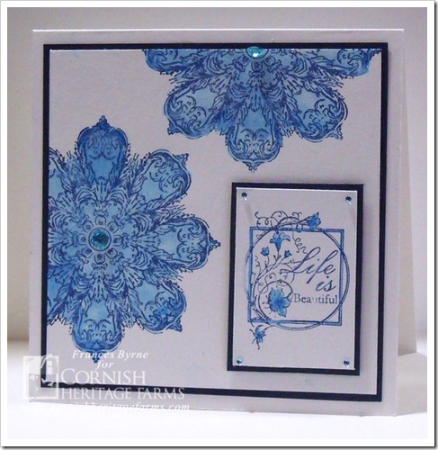 CHF-Ornamental-Beauty-wm CHF-Ornamental-Beauty-wm