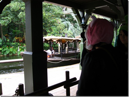 IMG_3155 IMG_3155
