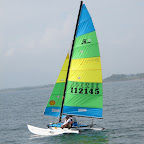 IMG_2988.jpg