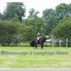 Light Horse 020.jpg