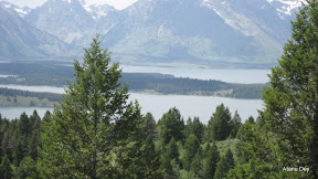 IMG_4226.jpg