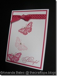 2012_08_Beautiful Butterflies at The Craft Spa 056_resize 2012_08_Beautiful Butterflies at The Craft Spa 056_resize