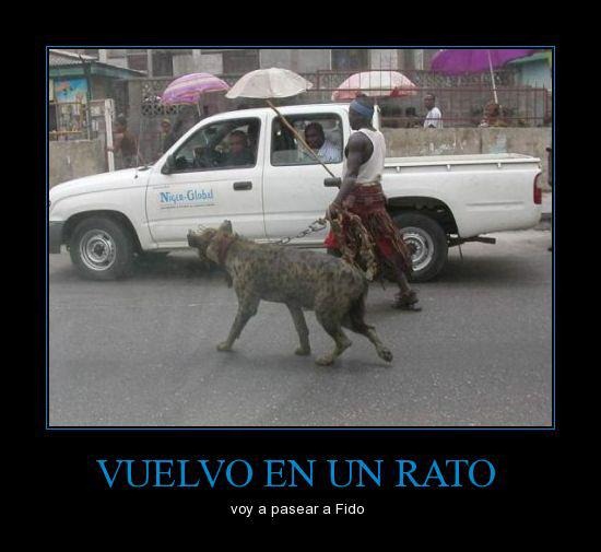paseando