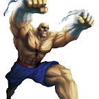 sfxt-sagat.jpg