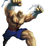 sfxt-sagat.jpg
