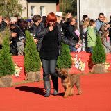 Abi - IMG_6644mn.jpg