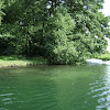 dsc04030.jpg