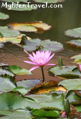 IMG_9809 IMG_9809