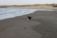 IMG_0584 IMG_0584