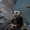 hokkaido_572.jpg