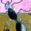 formica 2011 (15x20 cm).jpg