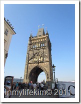IMG_1292 IMG_1292
