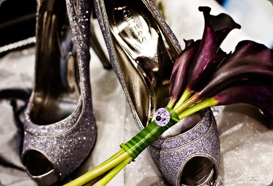 purple-silver-wedding-2 alante photo purple-silver-wedding-2 alante photo