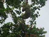 Panama City - IMG_3902.JPG