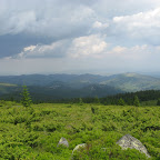 IMG_6612.JPG
