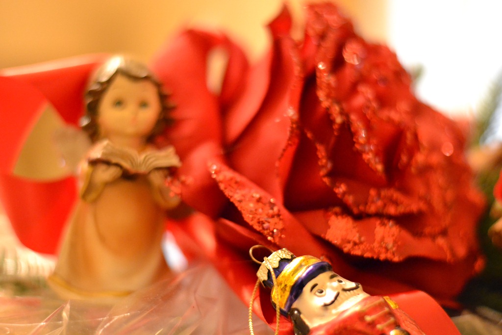 [DSC_0034%255B4%255D.jpg]