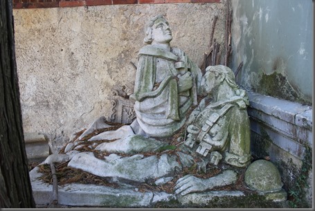 IMG_5342 IMG_5342