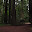 untitled album - 229.jpg