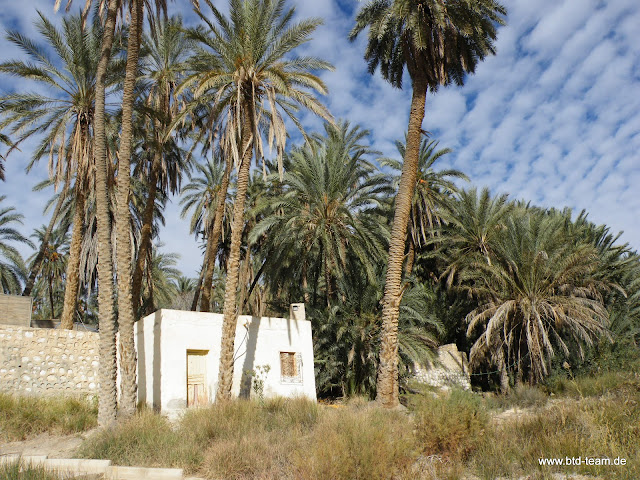 Tunesien-12-2010-178.JPG