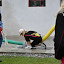 Moškovec 2009