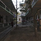 DSC_8209.jpg