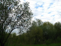 IMG_0297.JPG