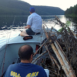 Campers on the hunt for campfire wood