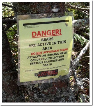bear-sign_thumb4