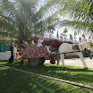 DSC02754.JPG
