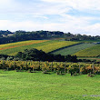 Wineries 09.jpg Wineries 09.jpg
