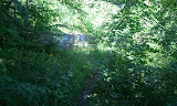 2011-08-17 11.44.02.jpg