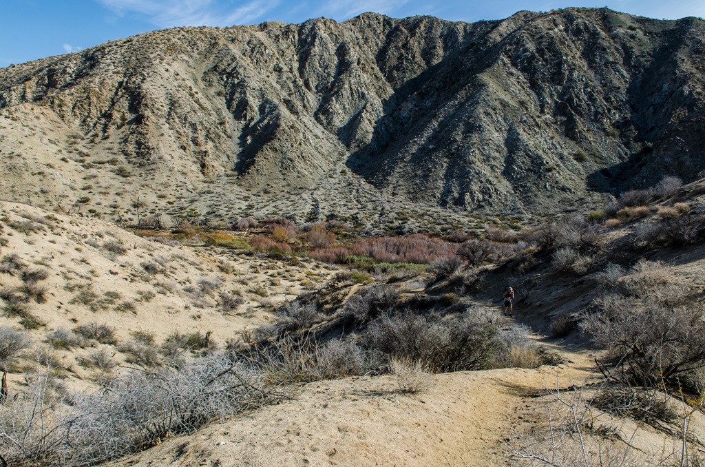 [Big%2520Morongo%2520Canyon%2520%25286%2520of%252063%2529%255B2%255D.jpg]